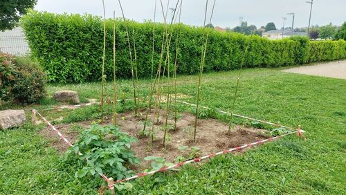 Cr&eacute;ation d'un potager