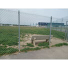 Rue de la Pierre des Morts