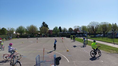 Permis v&eacute;lo &eacute;cole Pasteur