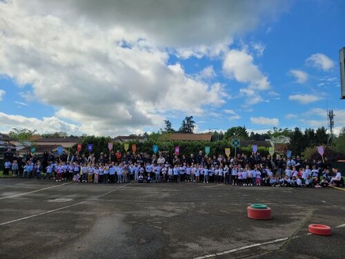 Olympiade &eacute;cole Dolto