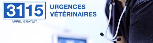 3115 Urgences V&eacute;t&eacute;rinaires